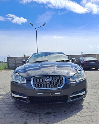 Jaguar XF cena 7800 przebieg: 150437, rok produkcji 2010 z Lesko małe 154